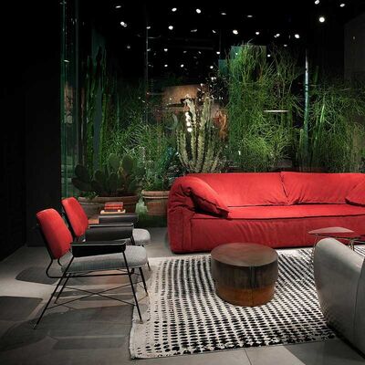 Luxury Living Room Furniture Industrial Style Elegant Armchair