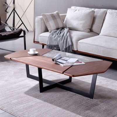 ราคาดี Minimalist Style Luxury Center Tables Retro Unique Shape Two Tone Color Palette ออนไลน์