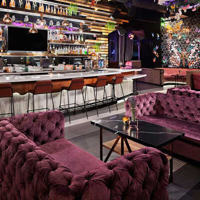 ราคาดี Velvet Purple Club Lounge Sofa Classic Button Tufting Bistro Sofa ออนไลน์